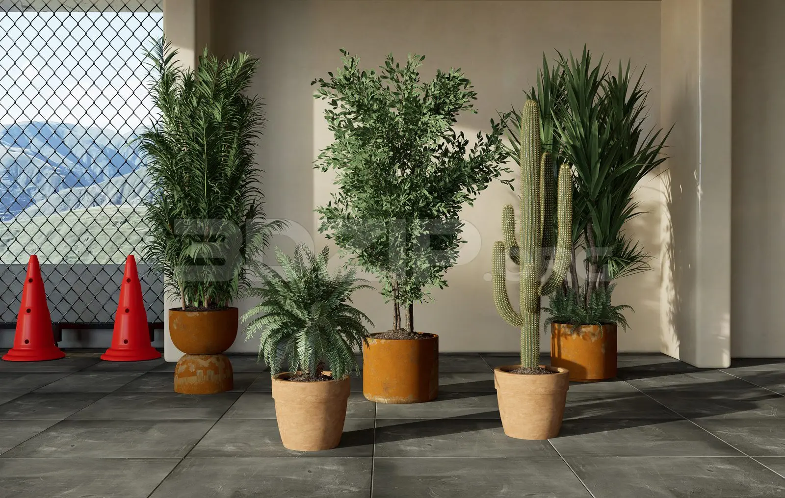 Plants