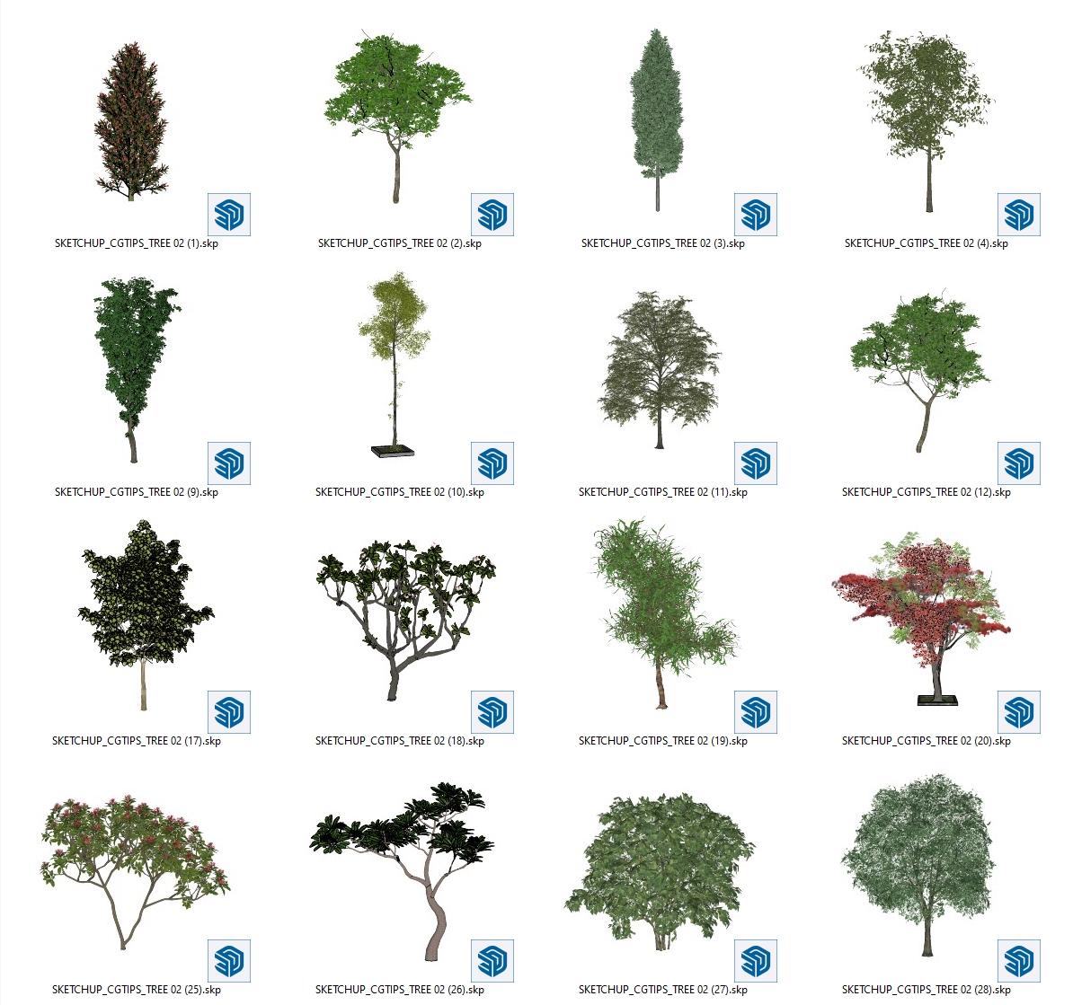 Trees