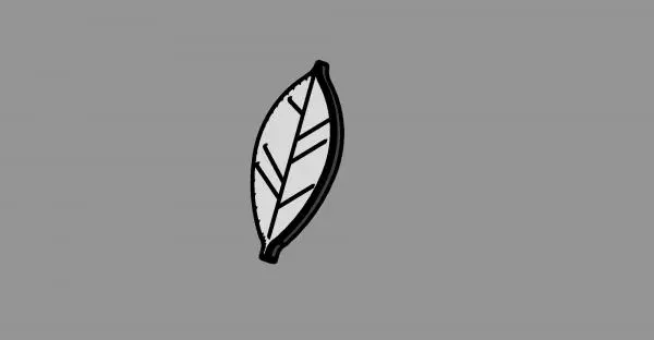 Leaf