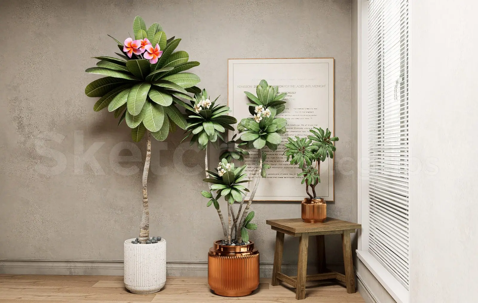 Plant