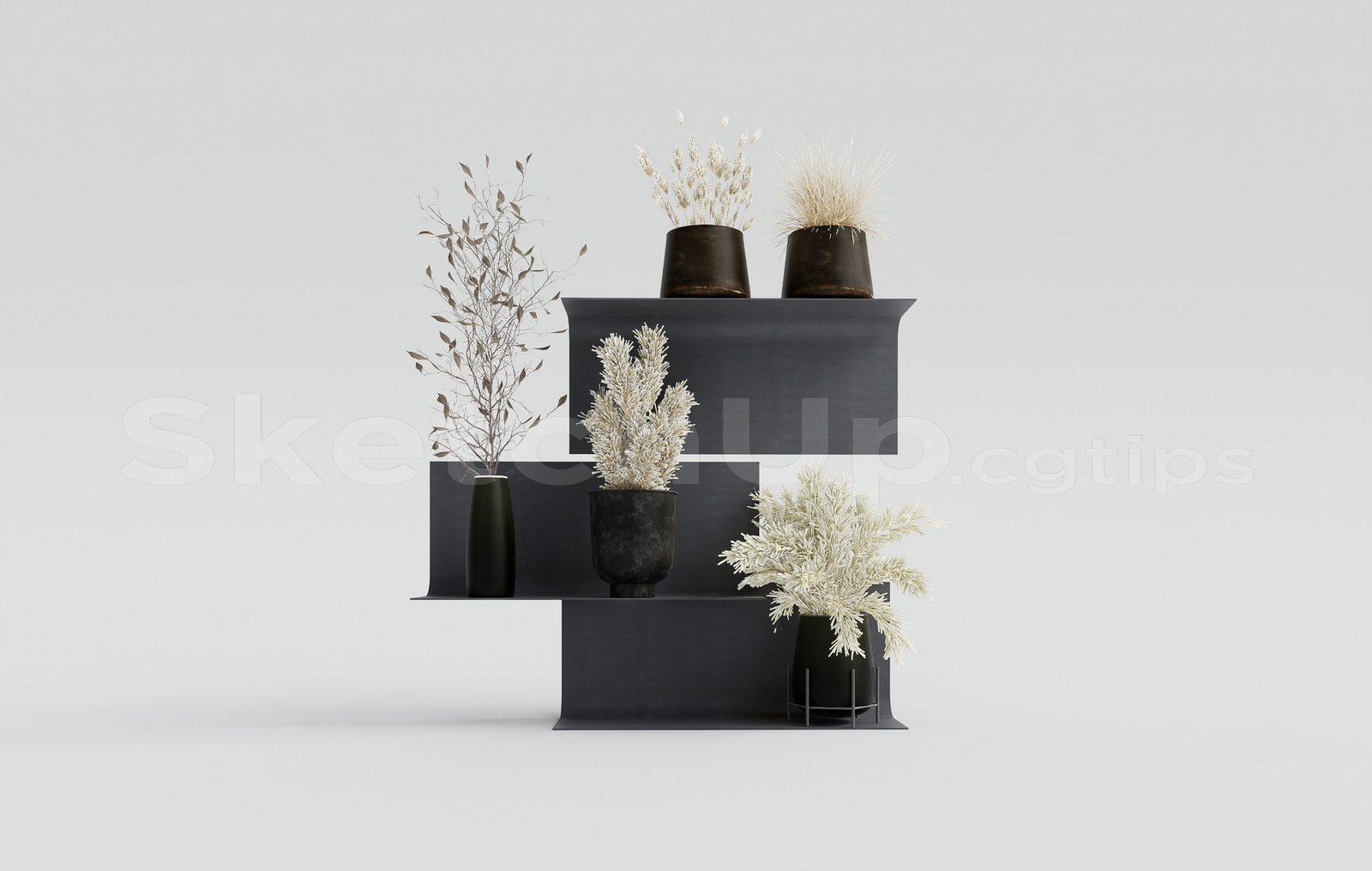 Plant