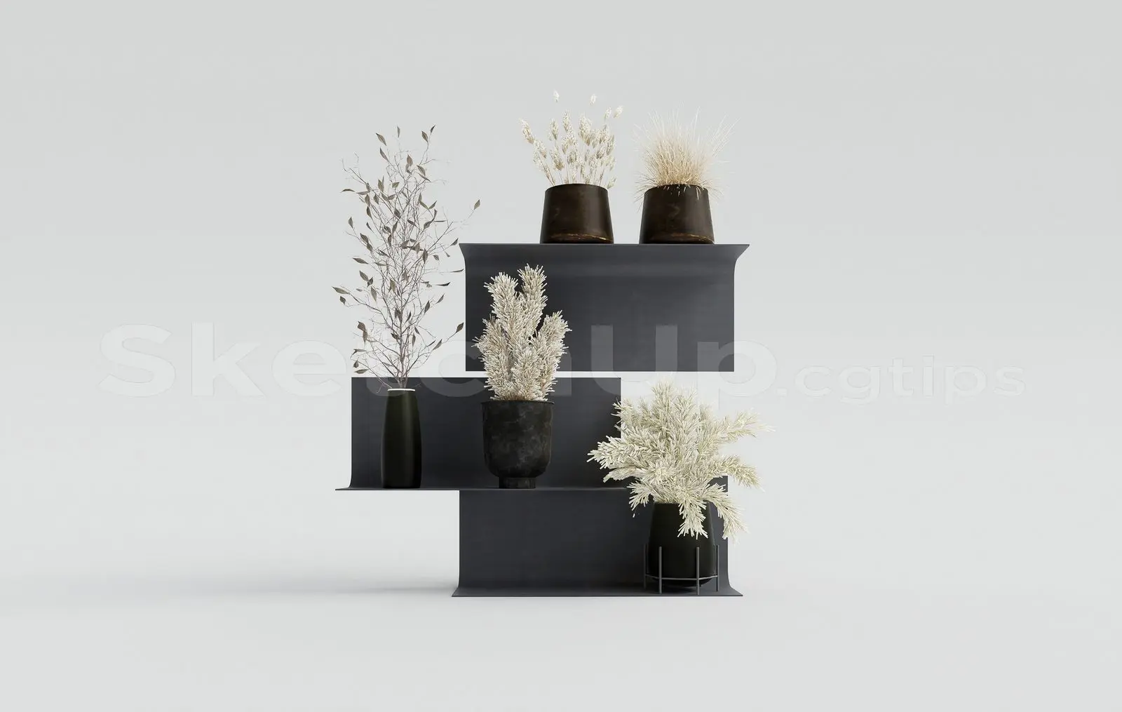 Plant — preview 1 (cgtips)