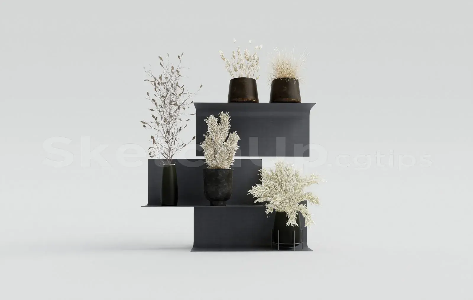 Plant