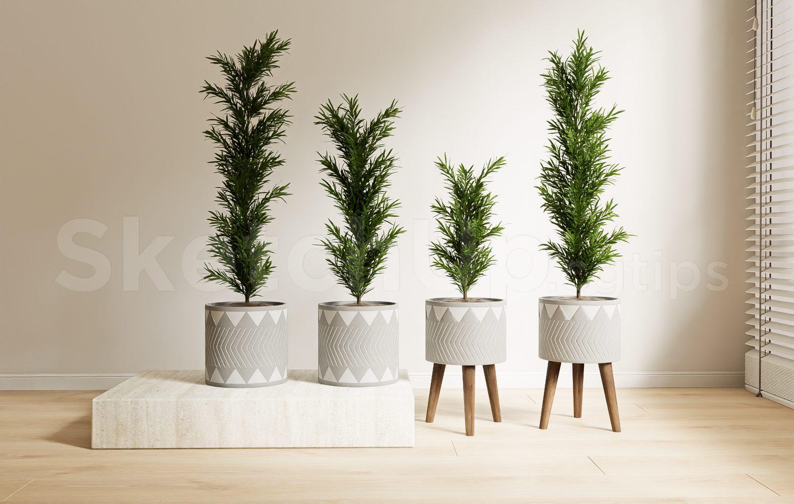 Plant