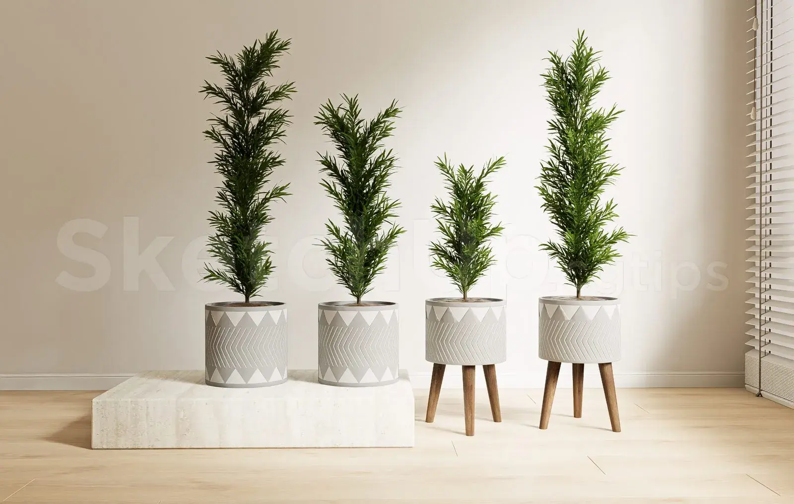 Plant