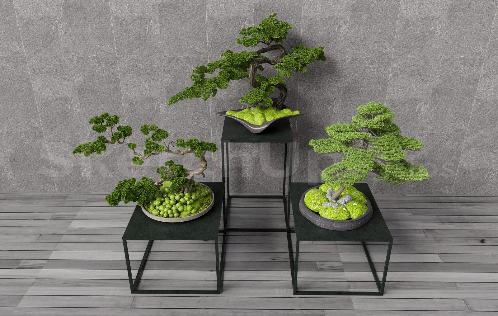 BonSai Tree