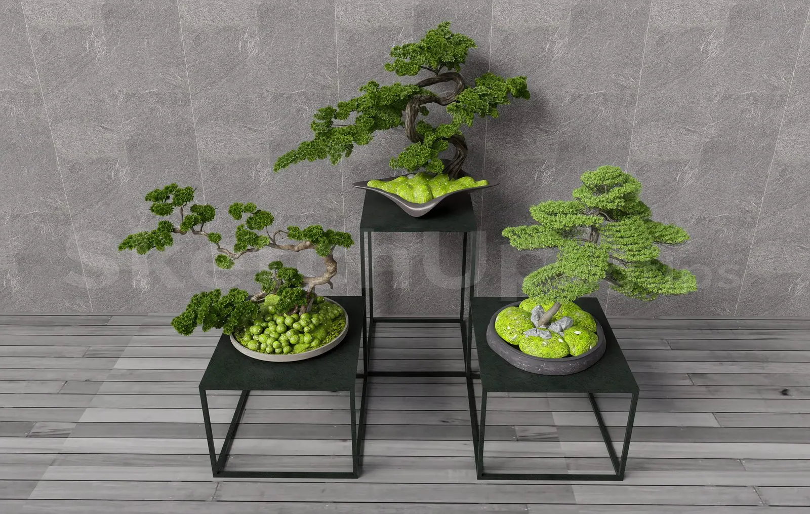 BonSai Tree