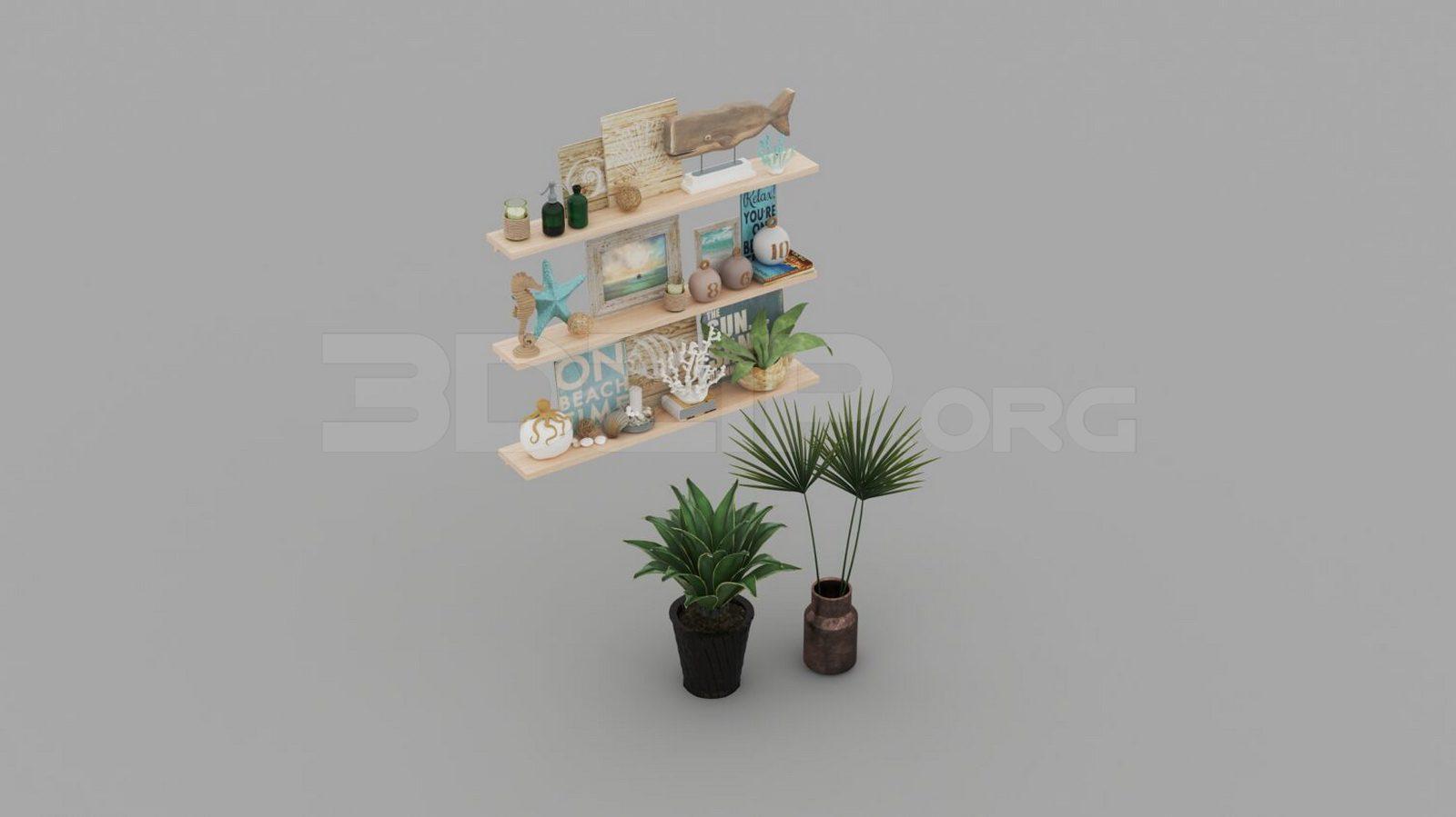 Decorative Shelves and Plant