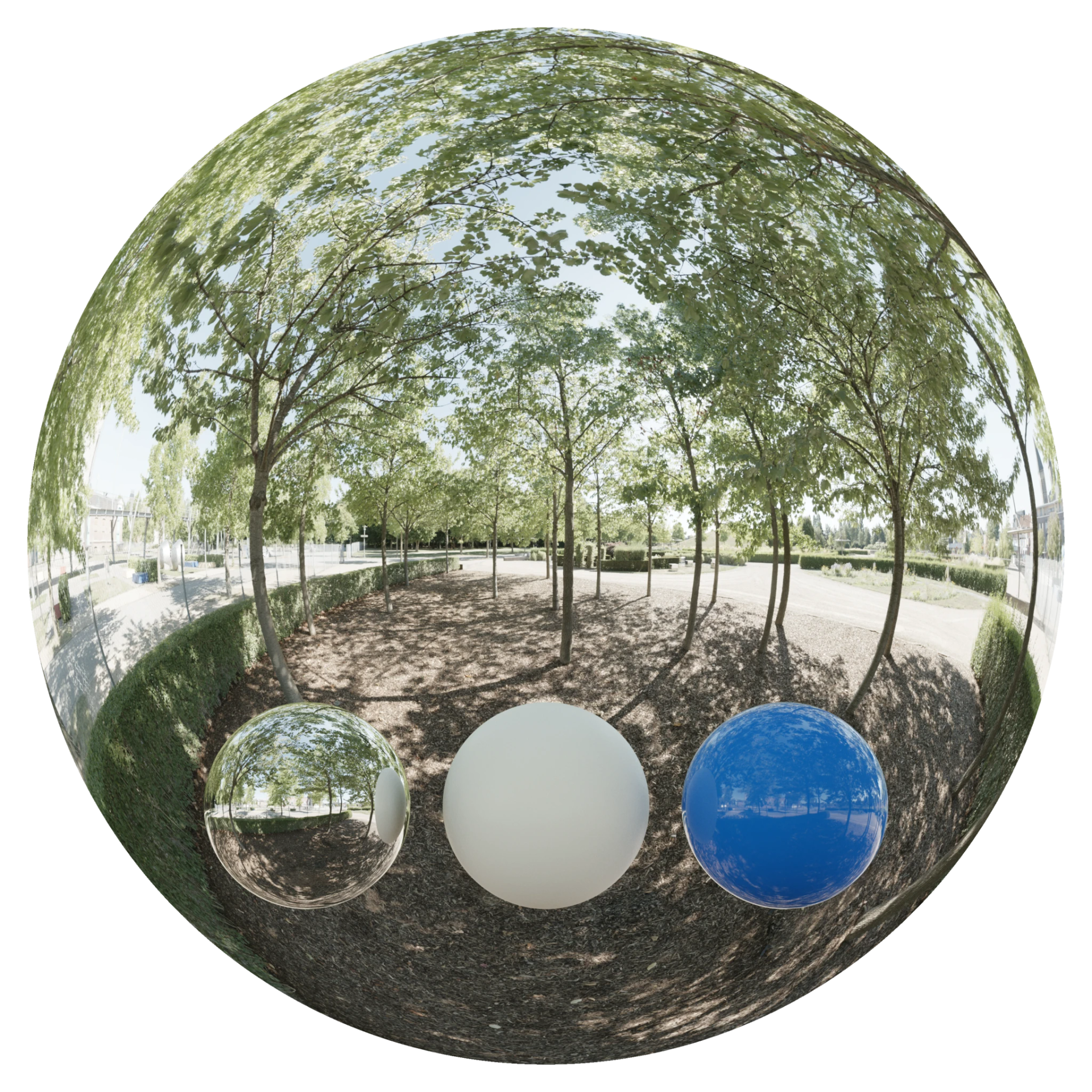 Day Environment HDRI 022