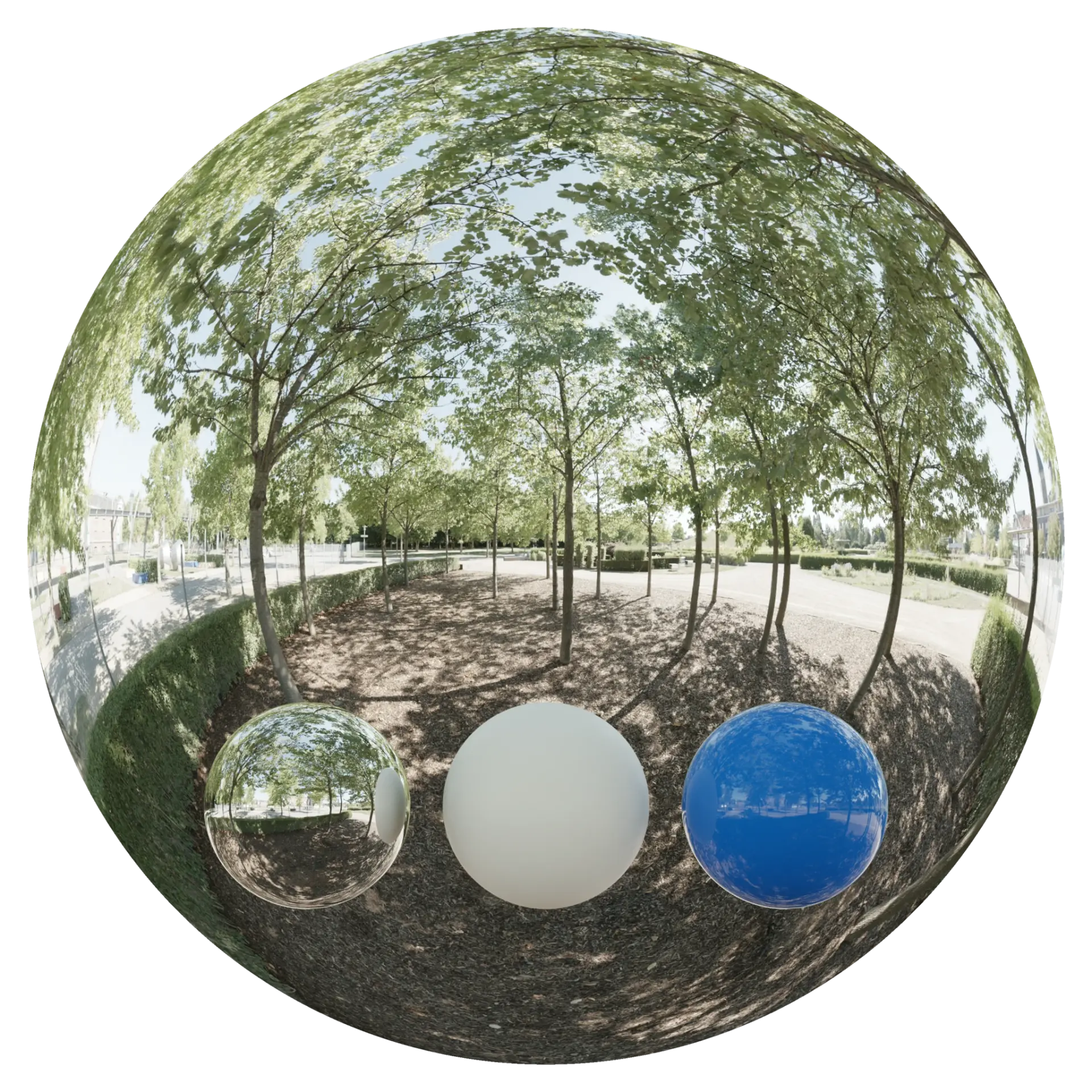 Day Environment HDRI 022