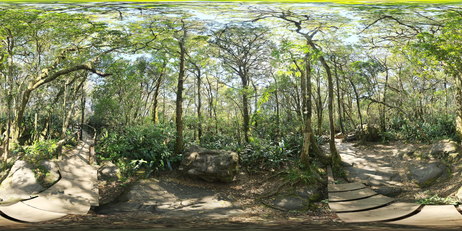 Rainforest Trail