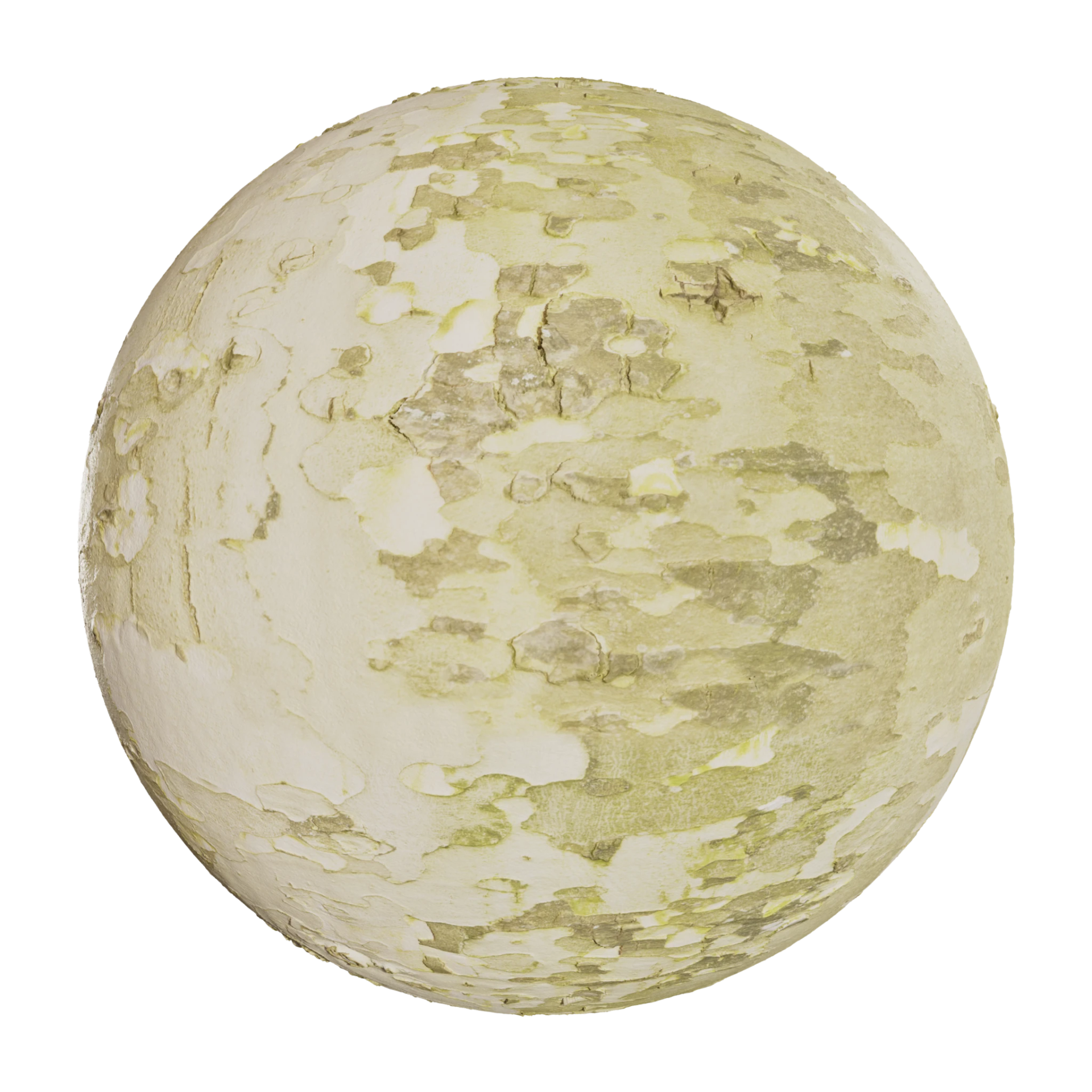 Bark 009
