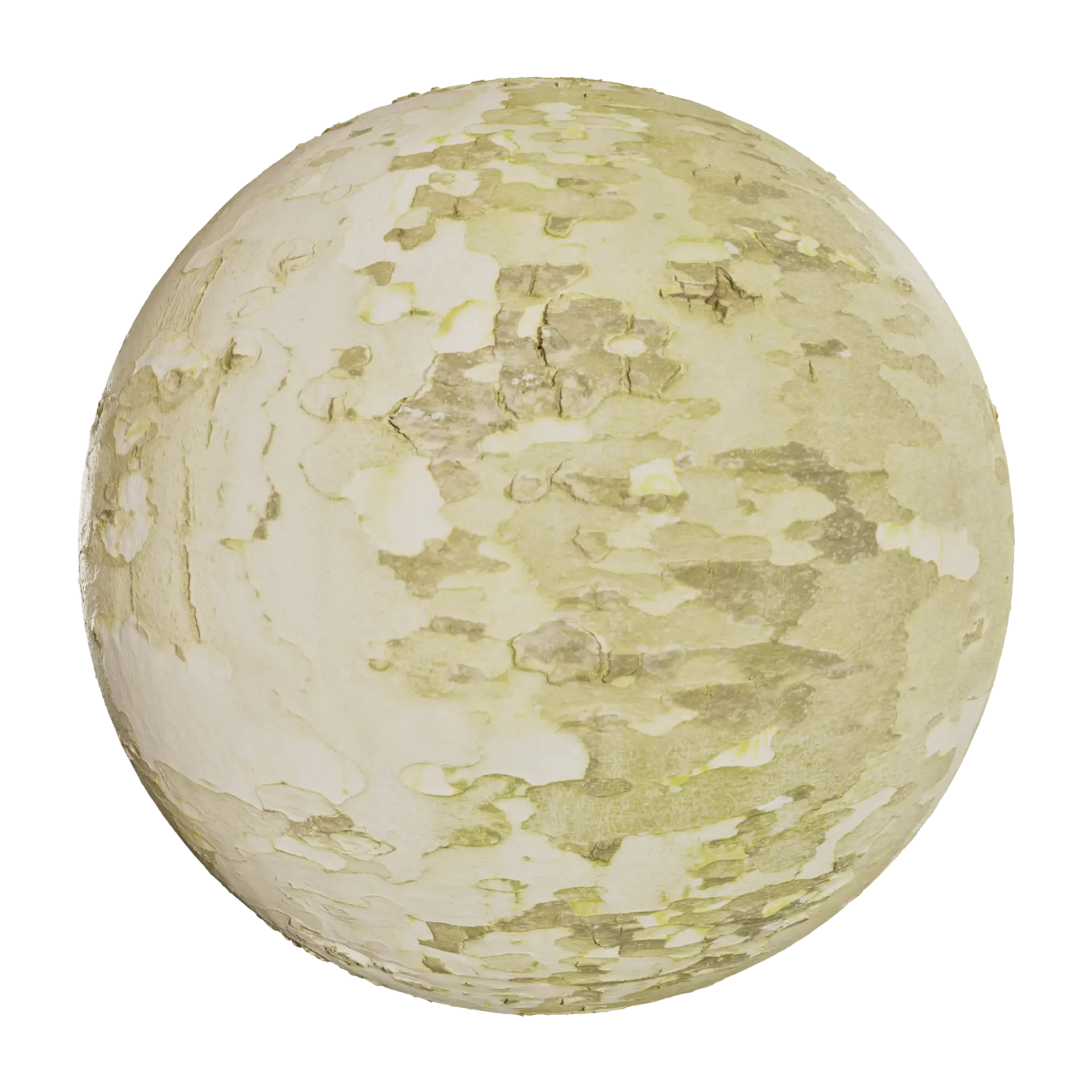 Bark 009
