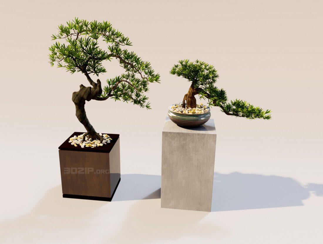 Bonsai Plants Model 418
