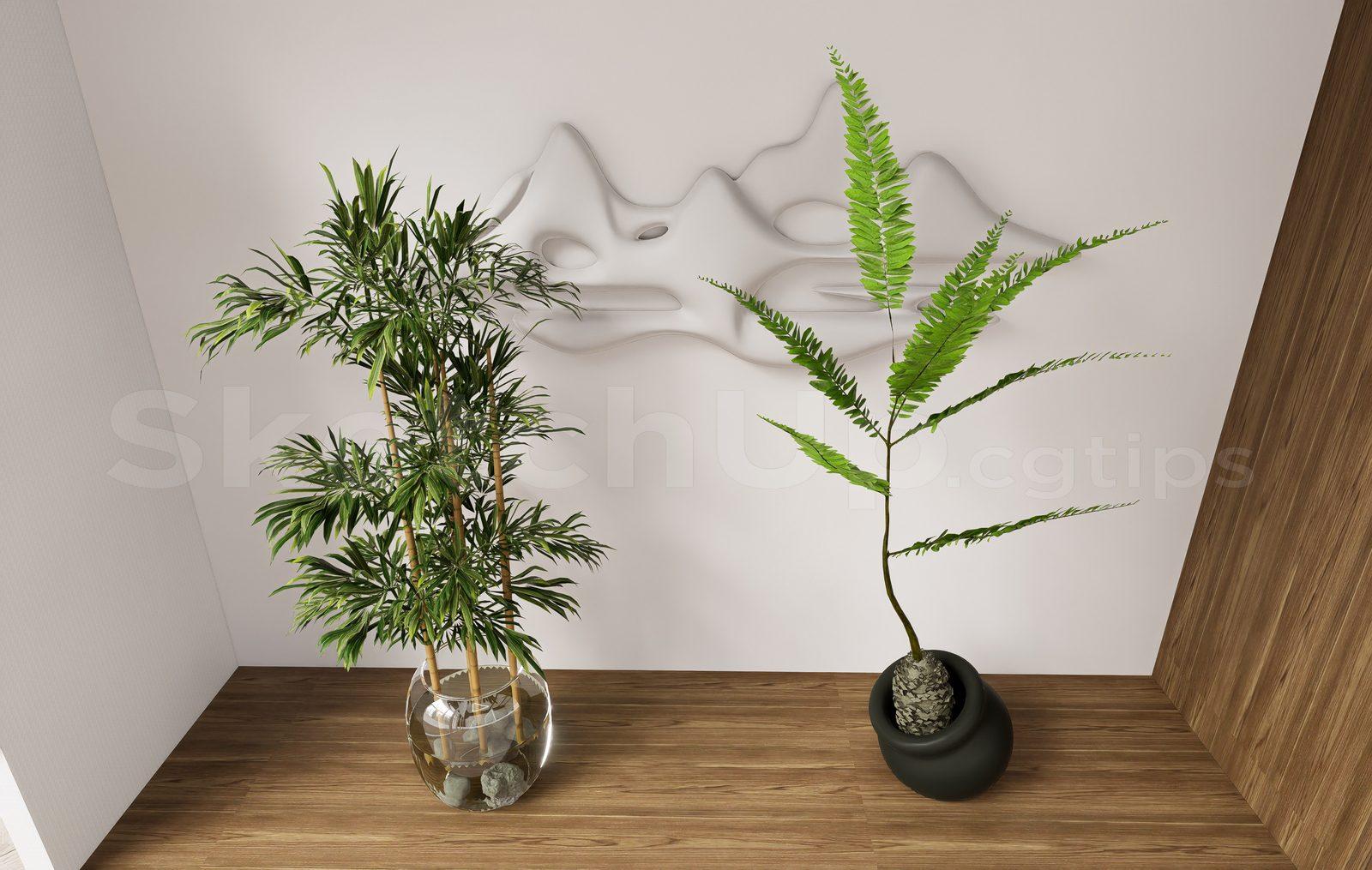 Plant