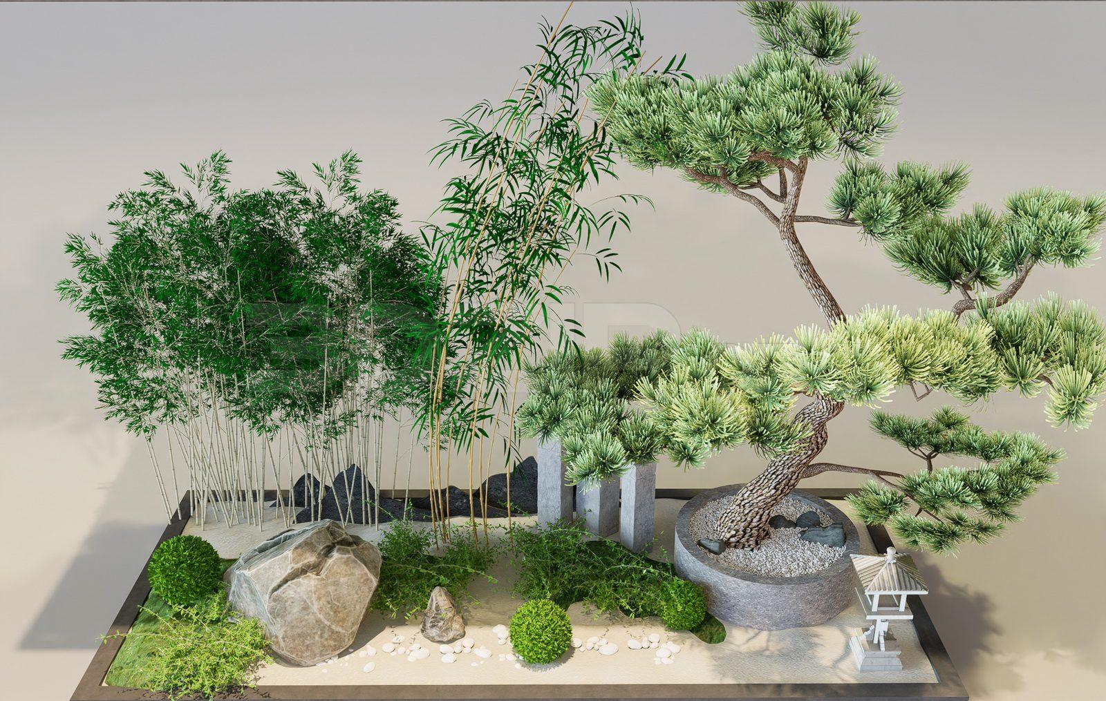 Garden Landscape Scenes