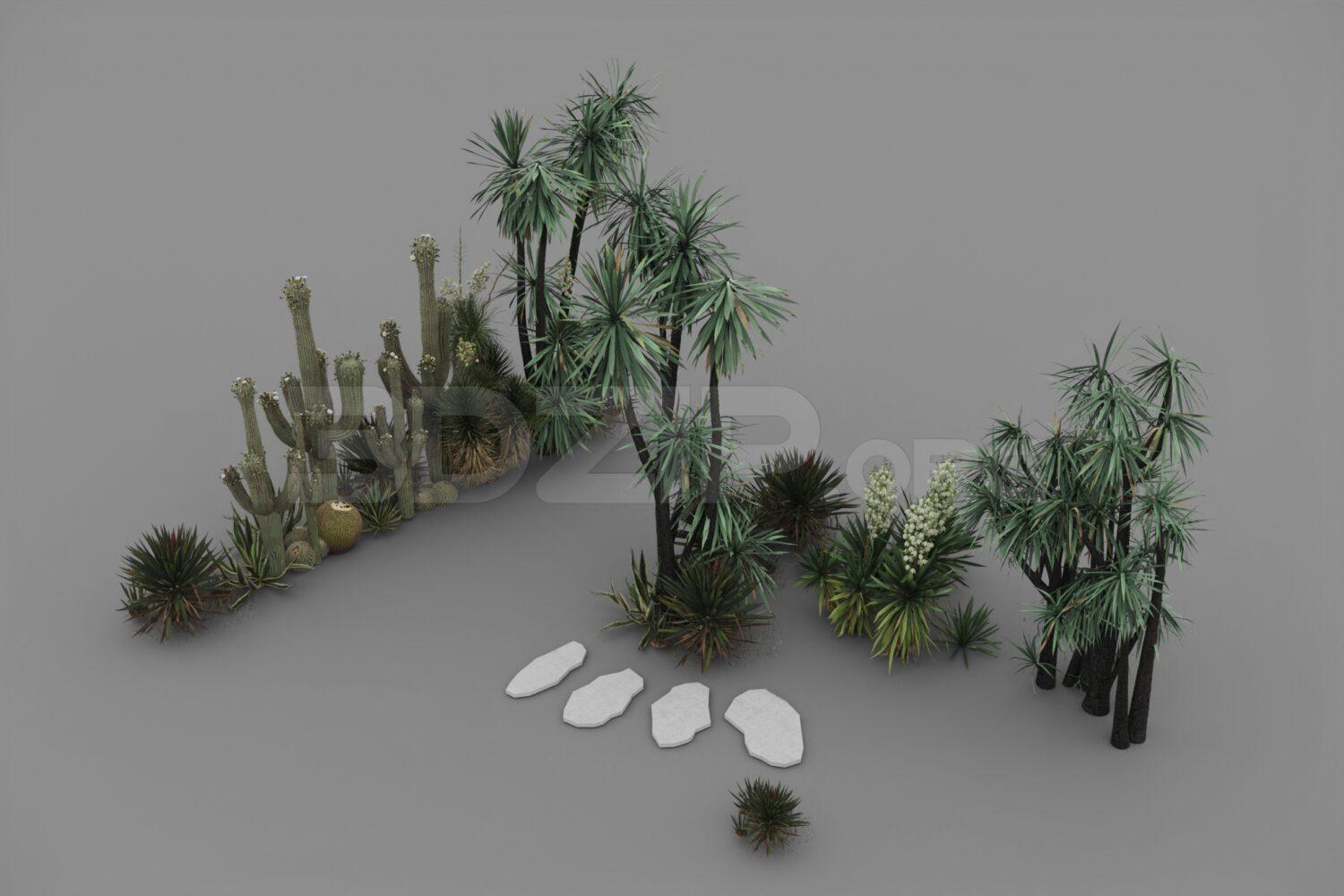 Plant