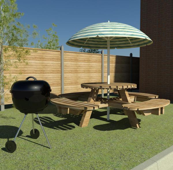 Picnic Table and BBQ