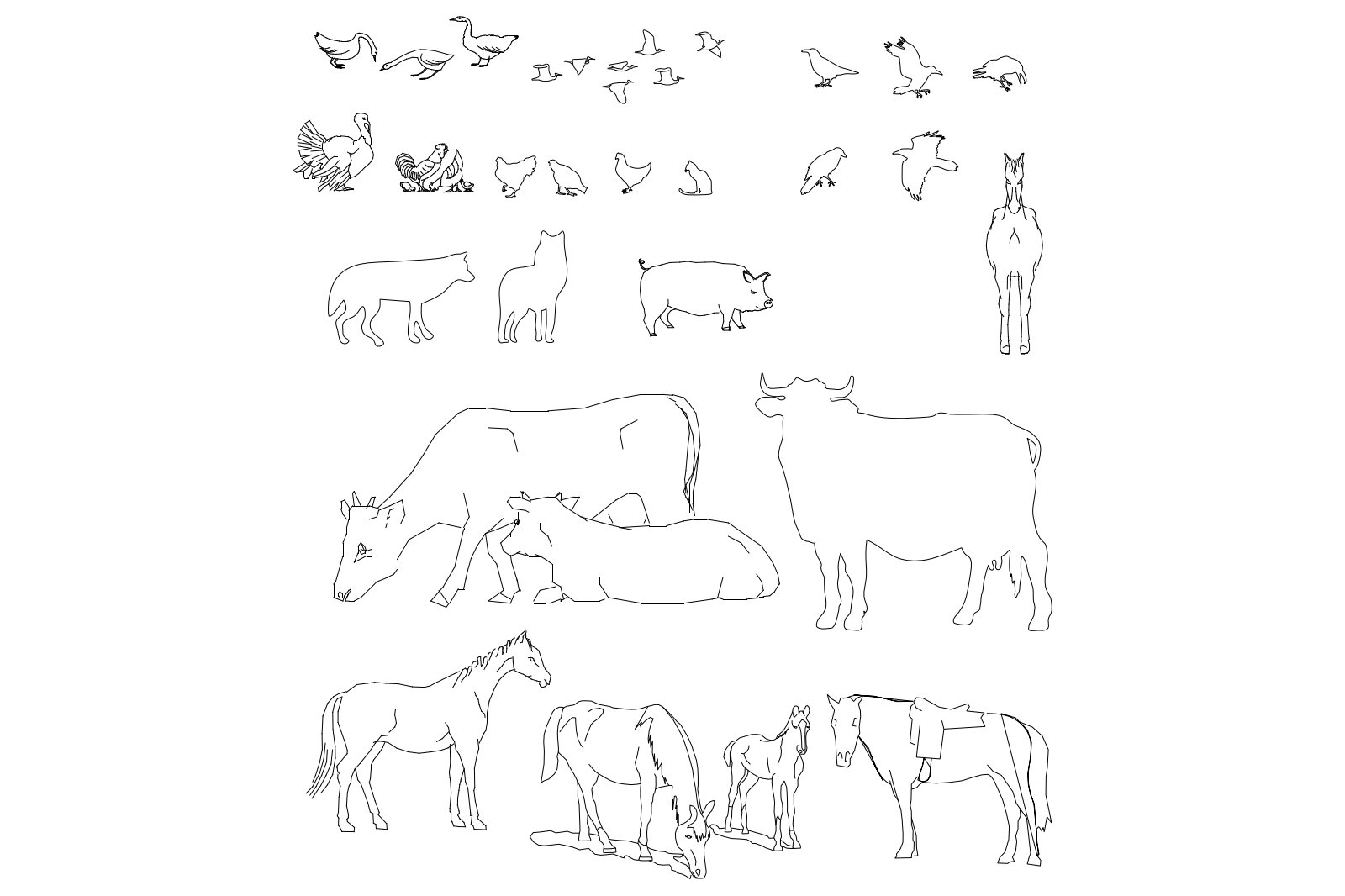 Animals 2