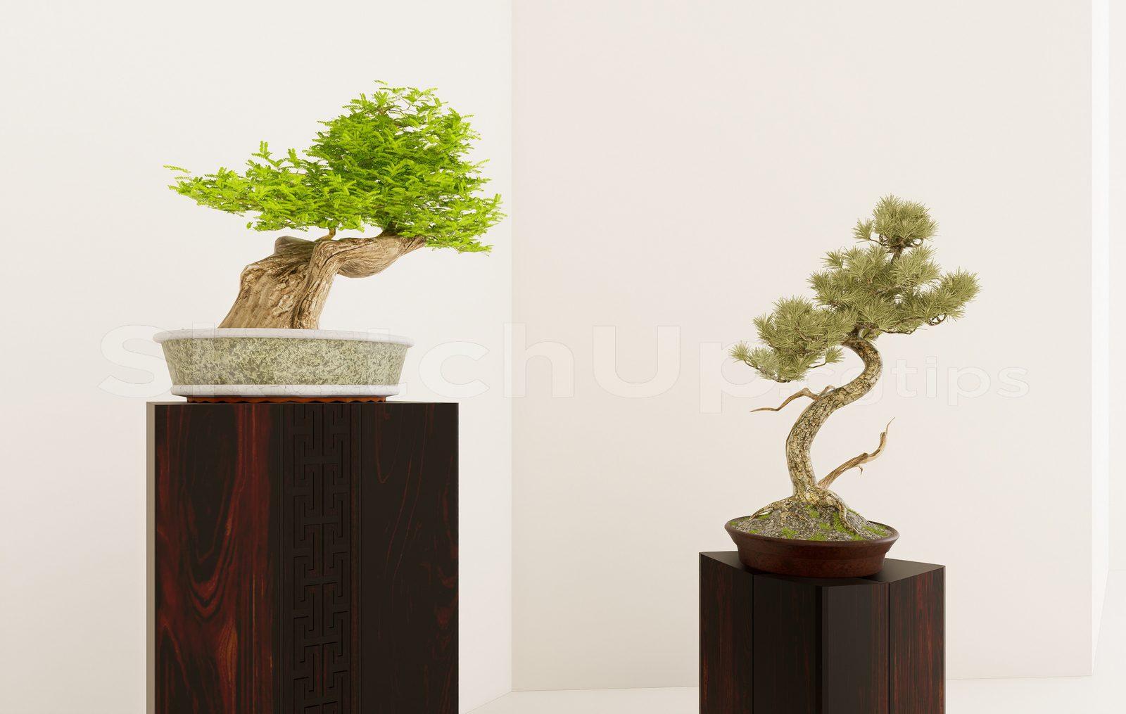 BonSai Tree — preview 1 (cgtips)