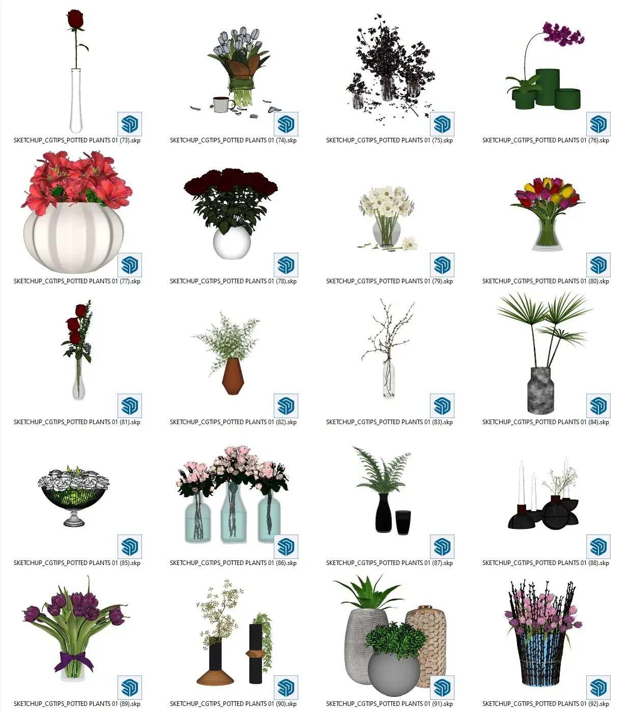 Potted Plants