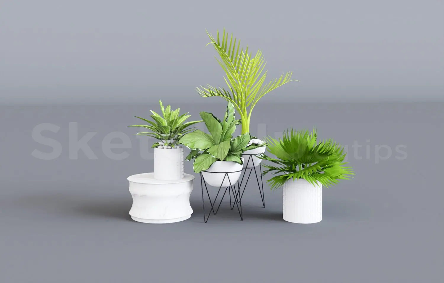 Plant