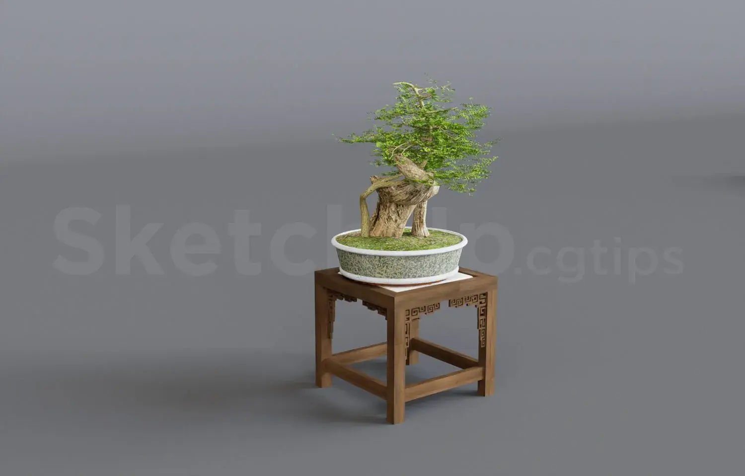 BonSai Tree