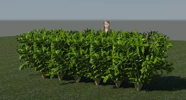 3D Bushes