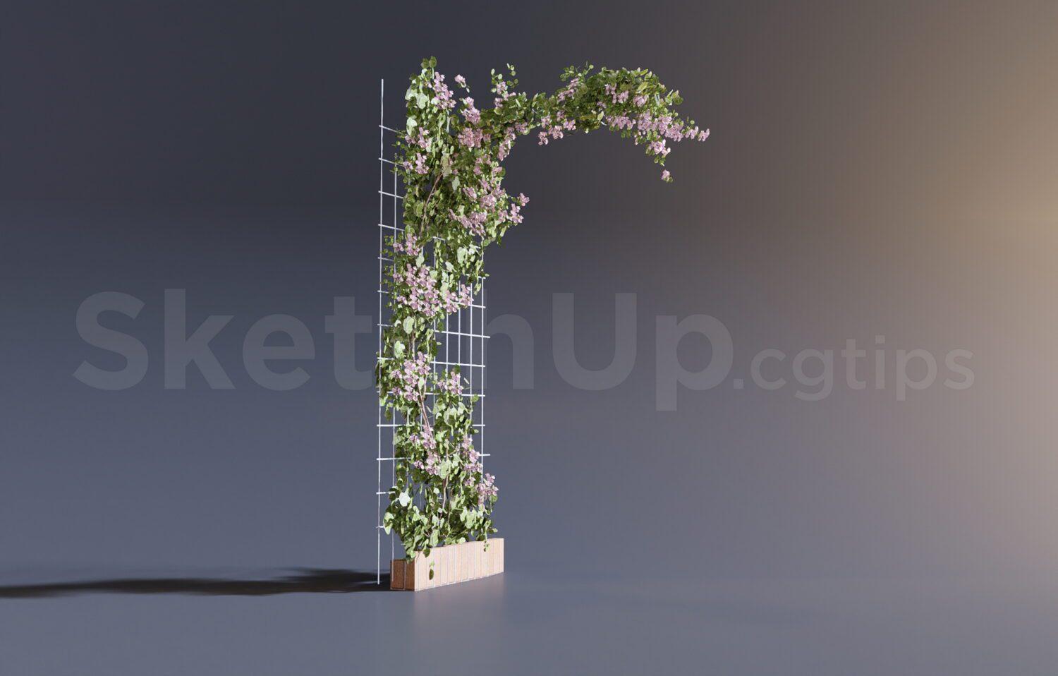Plant