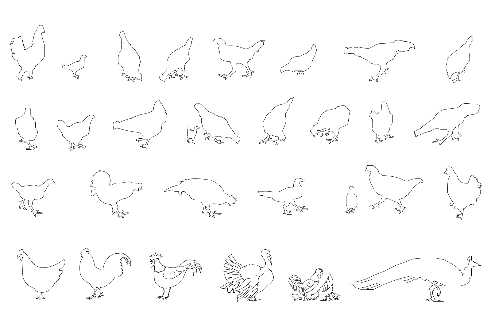 Birds set