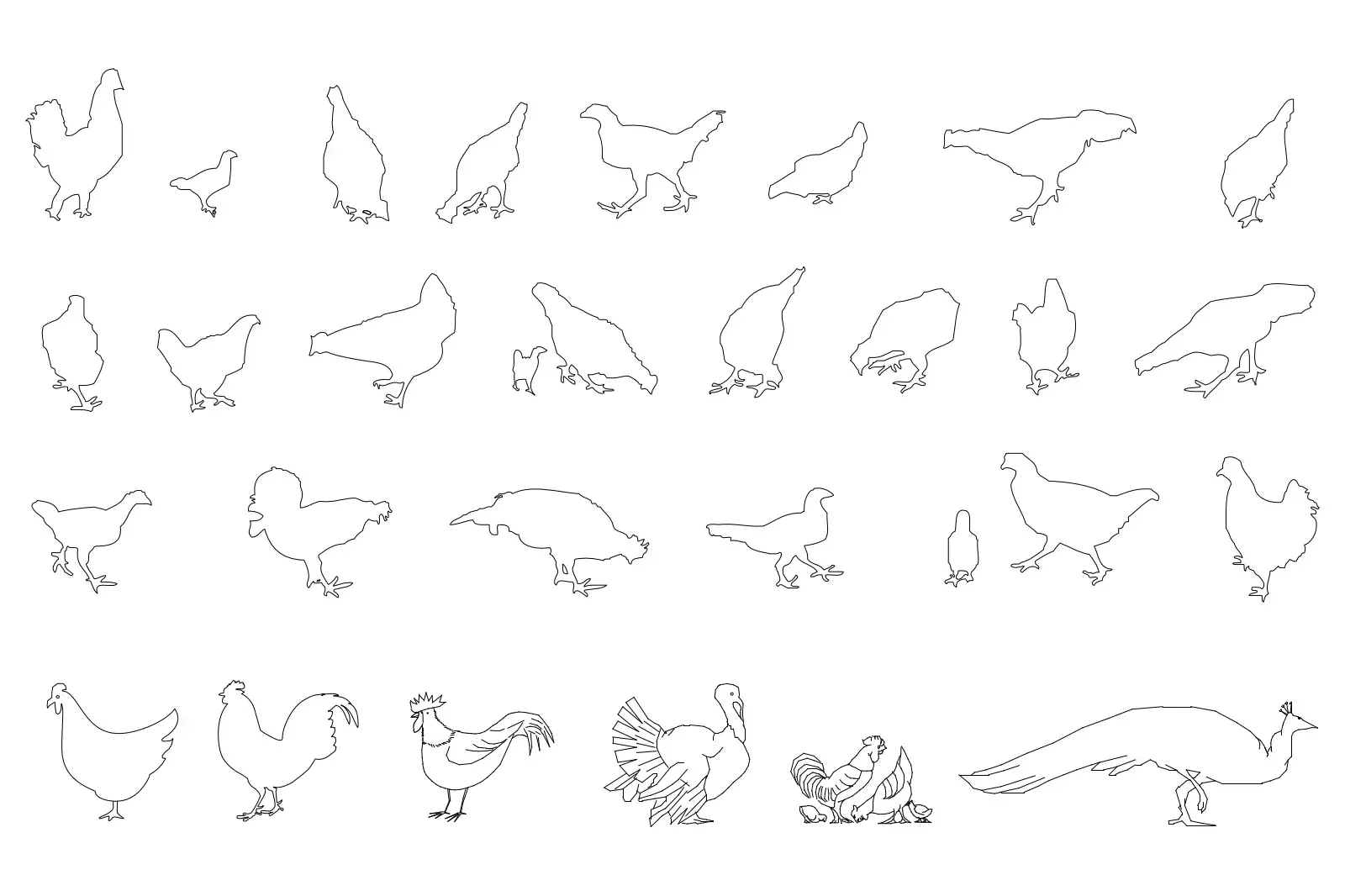 Birds set