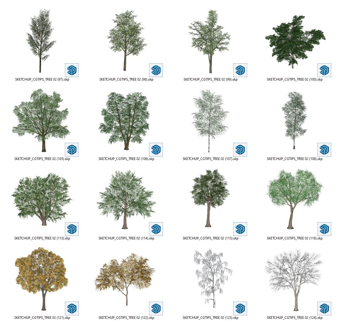 Trees