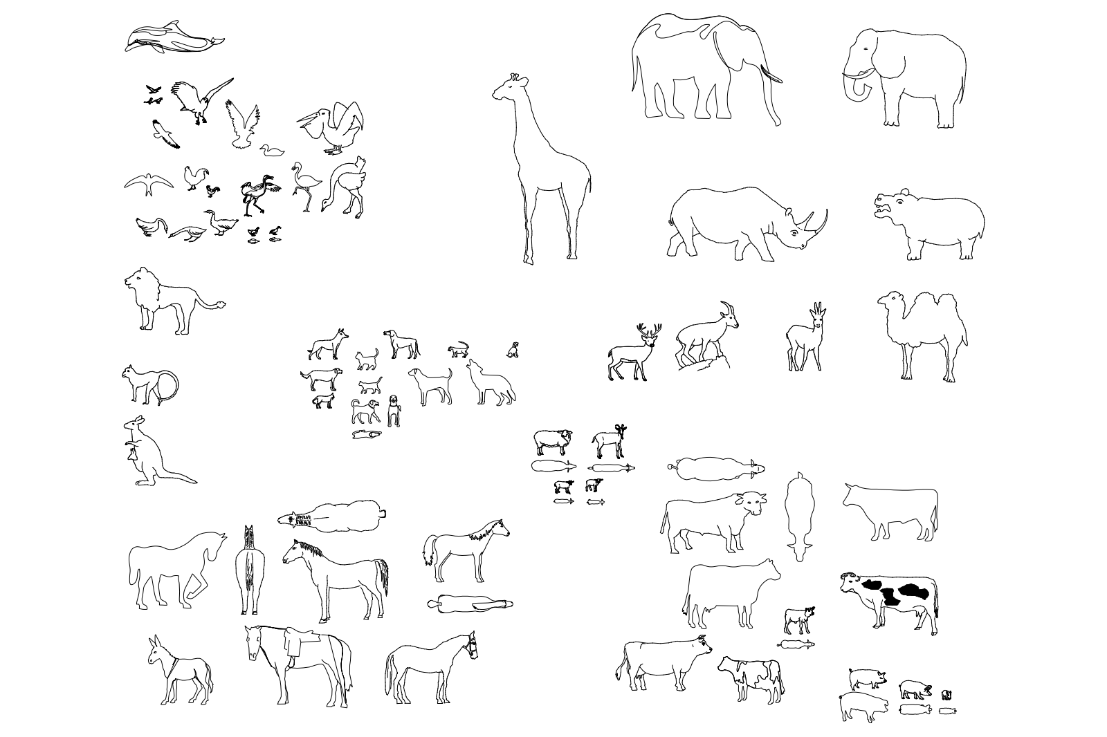 Animals 1