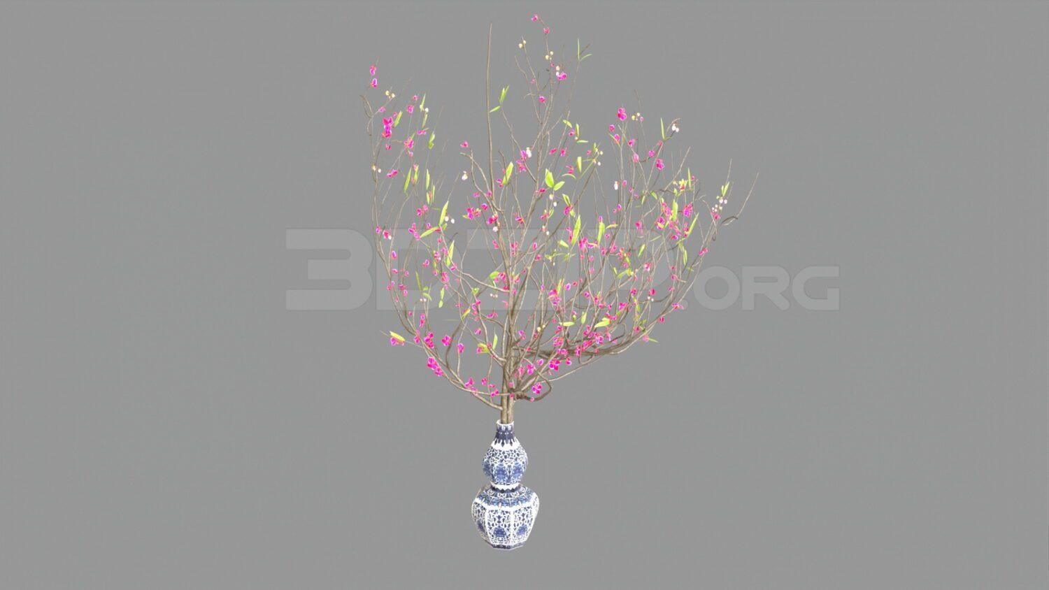 Peach blossom Plant