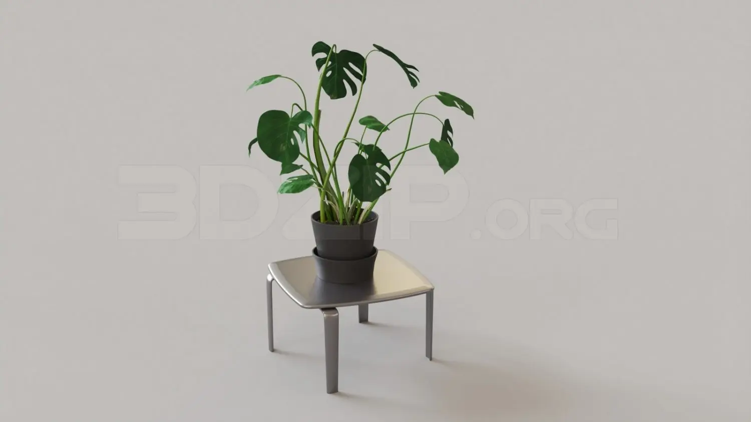 Plant