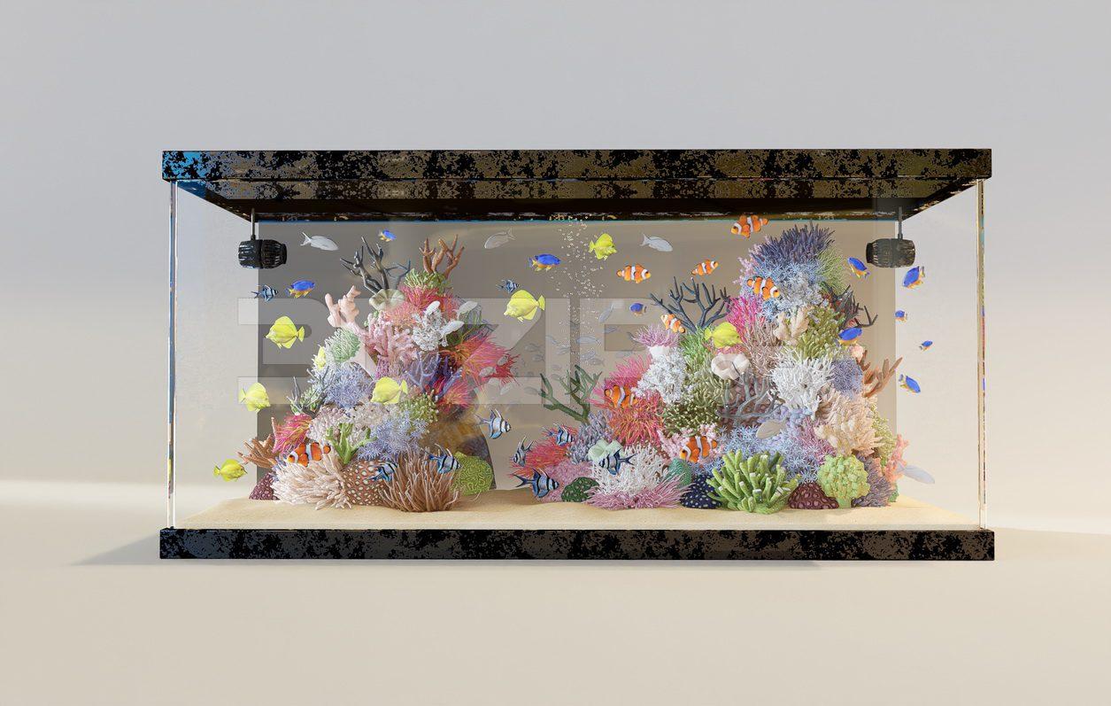 Aquarium