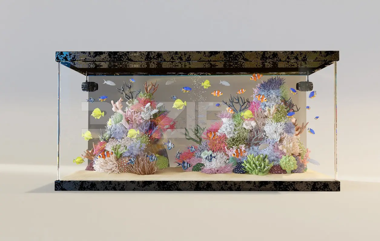 Aquarium