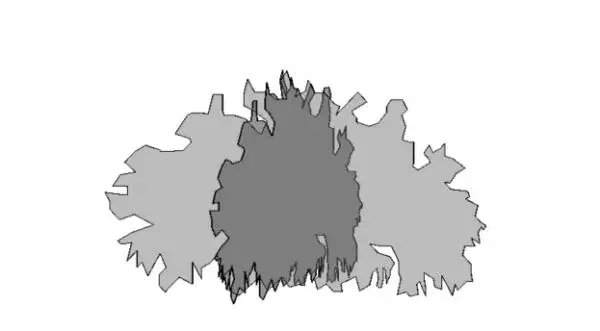 Bush - Bi Planar