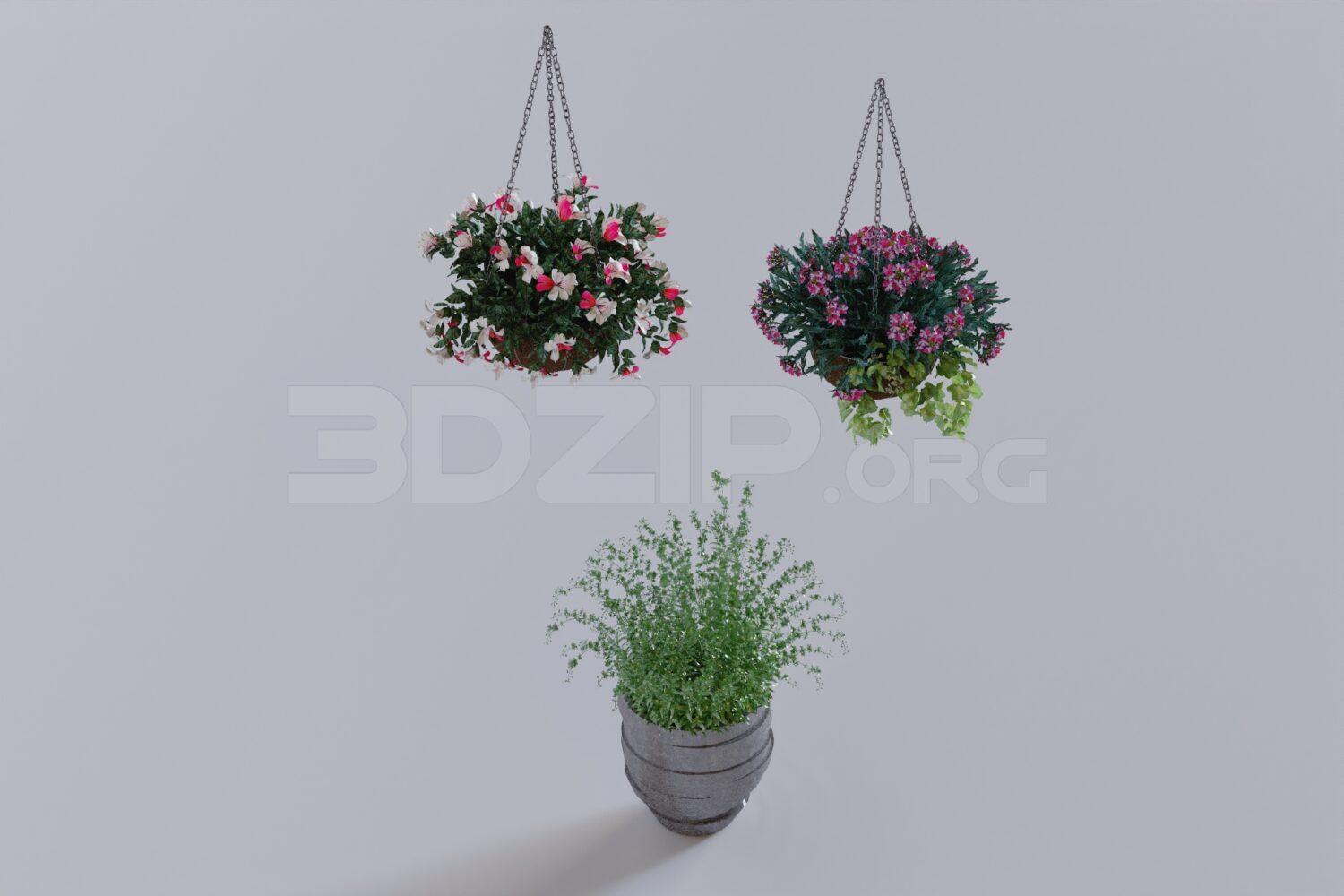 Plant