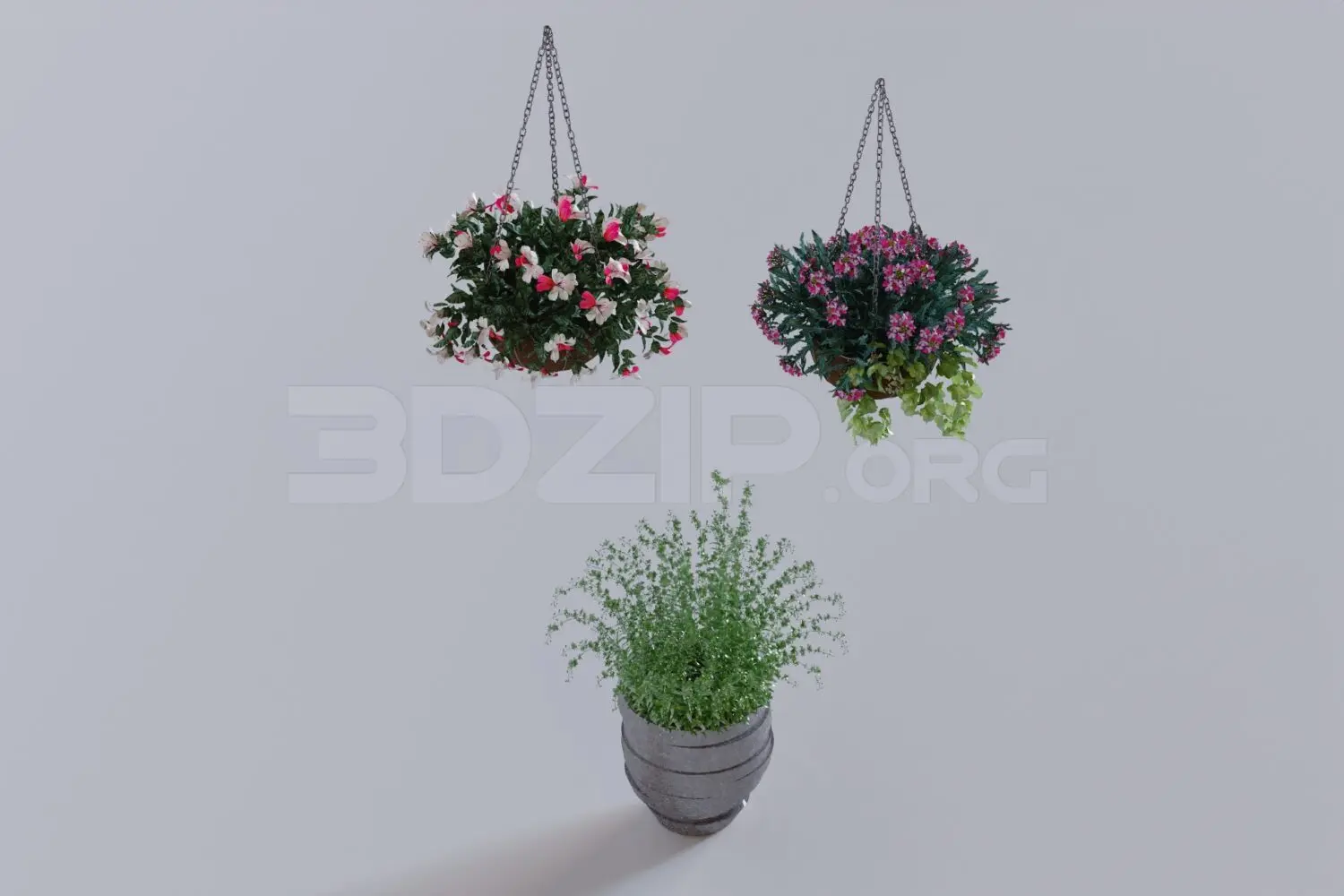 Plant