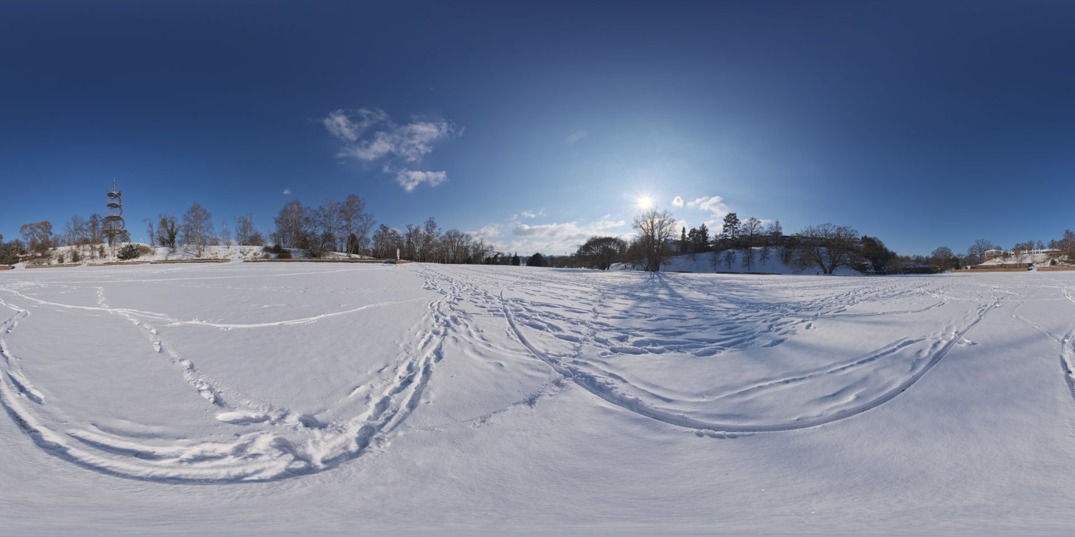 Snowy Field