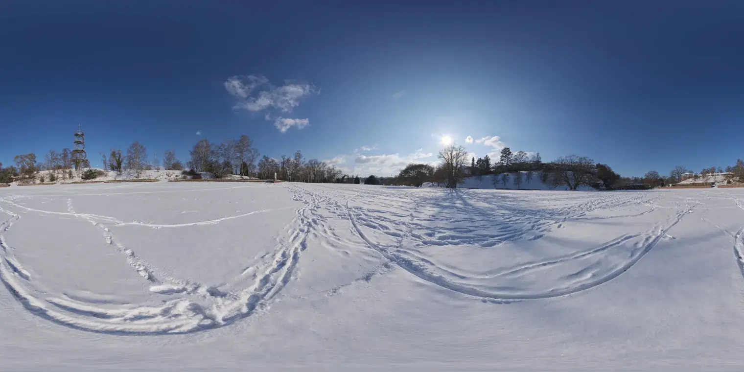 Snowy Field