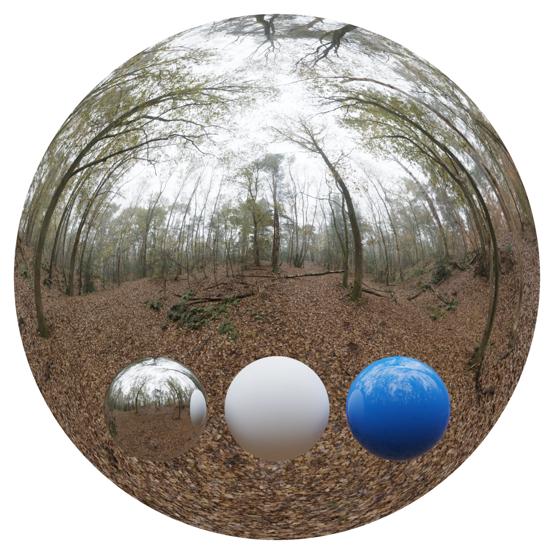 Day Environment HDRI 005