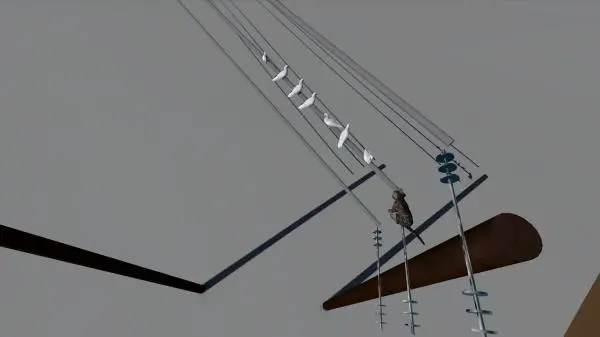 Single Electrical Timber Pole