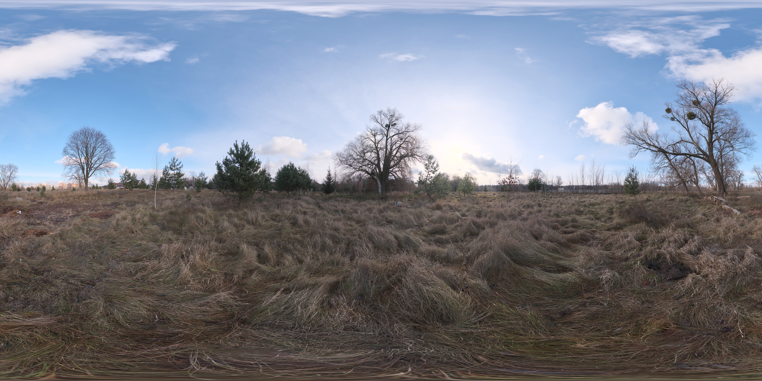 Dry Meadow