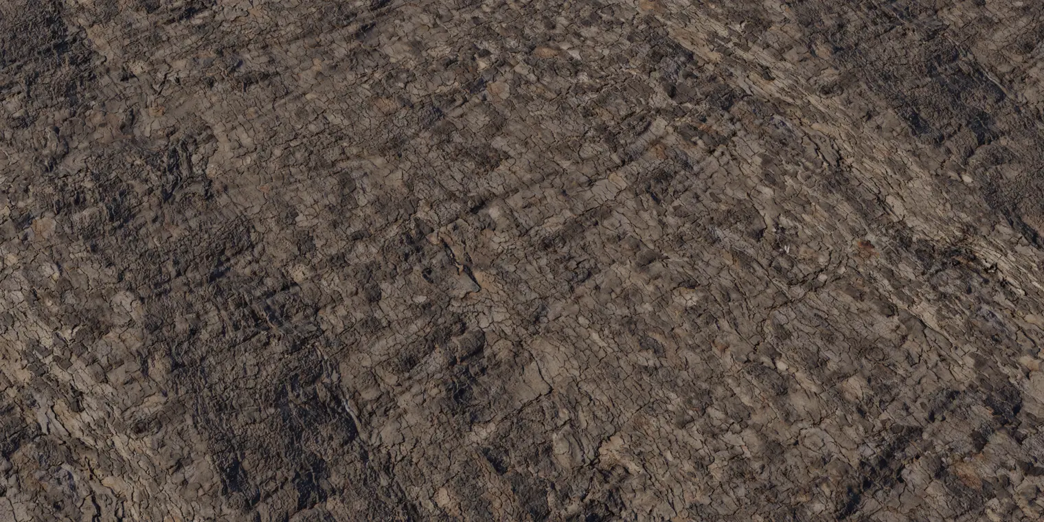 Bark Platanus — preview 1, by Dimitrios Savva (Poly Haven, CC0)