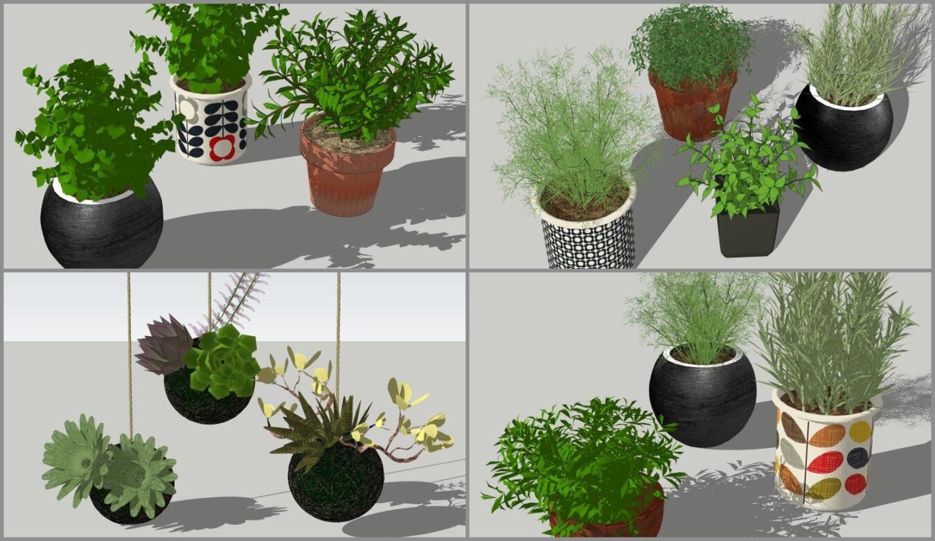 Plants