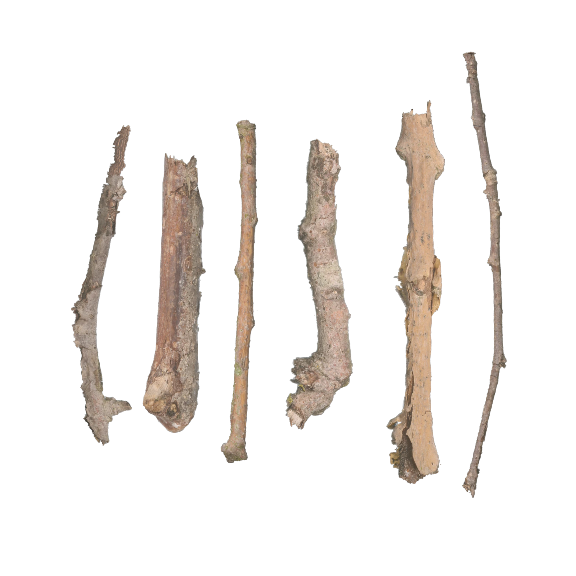 Stick Set 001