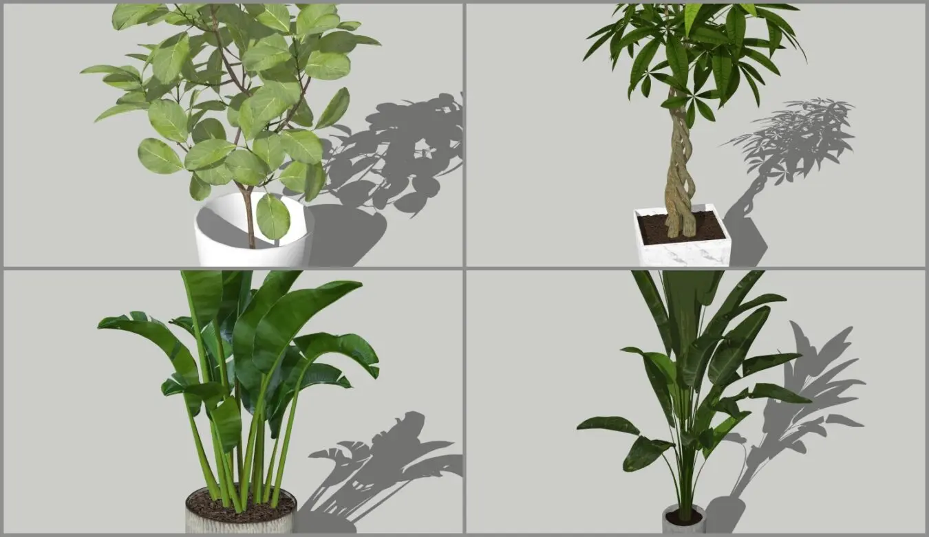 Plant — preview 1 (cgtips)