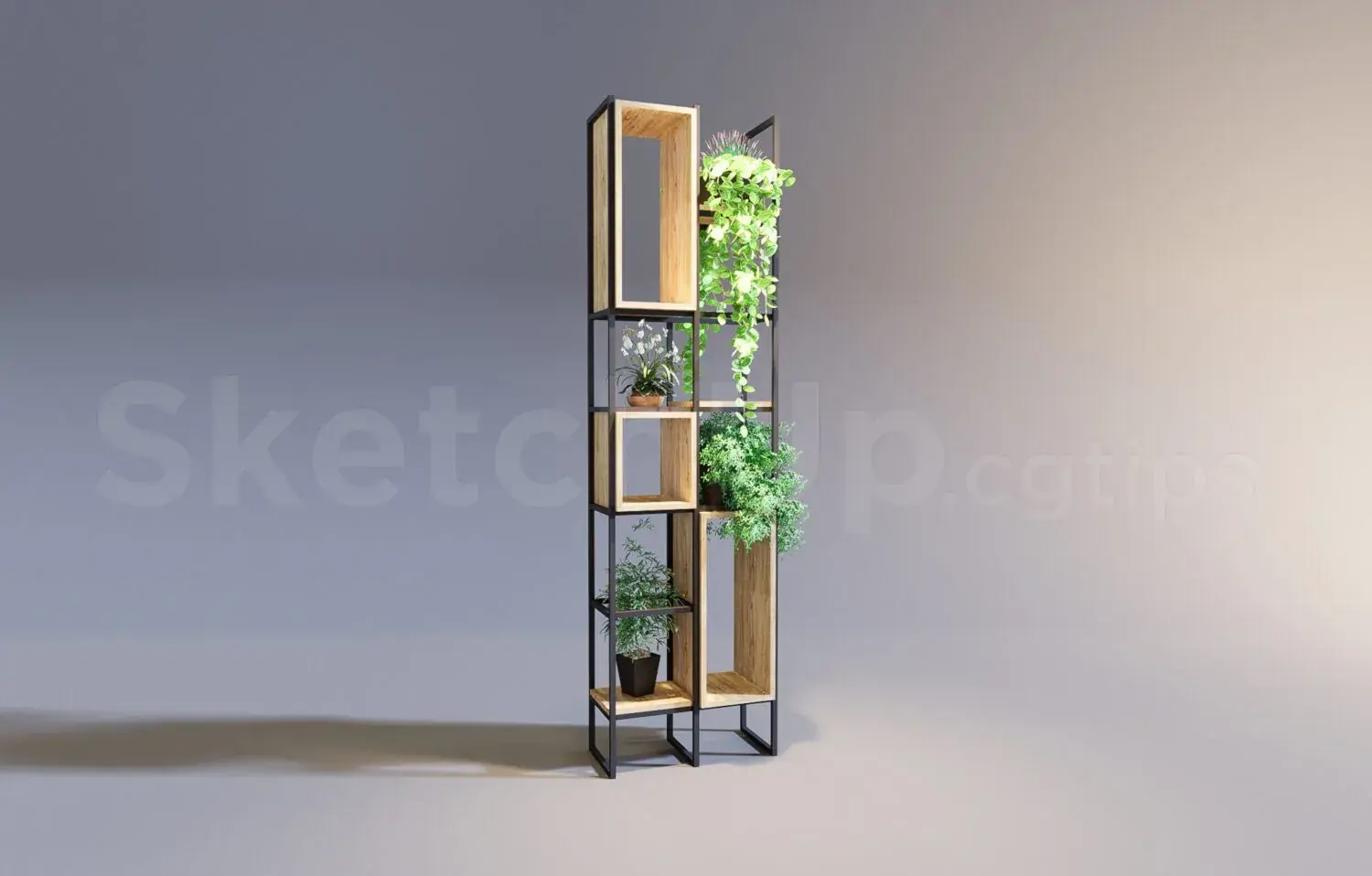 Decorative Shelves